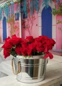 OPA Greek restaurant Chattanooga authentic dining experience