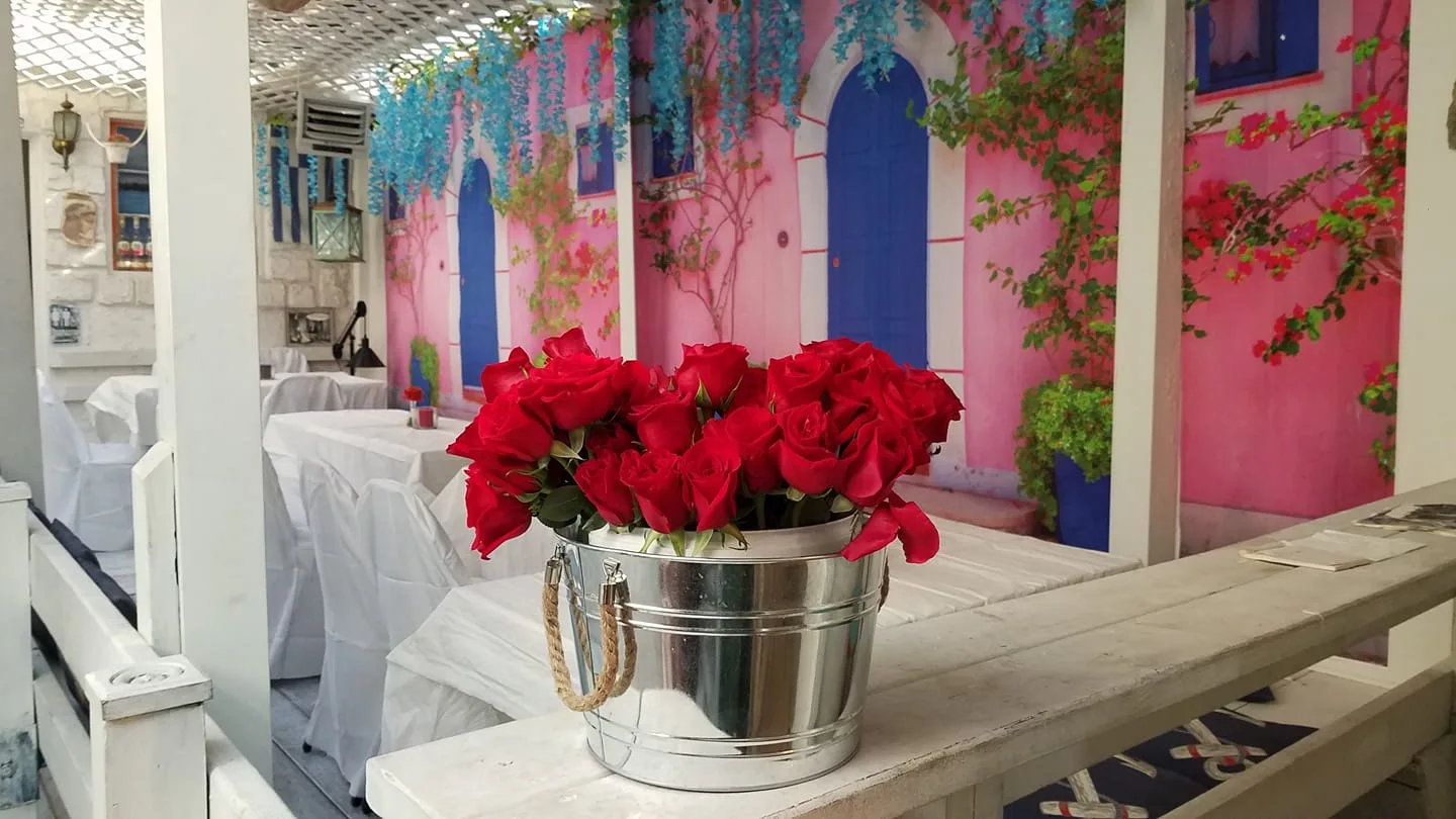 OPA Greek restaurant Chattanooga authentic dining experience